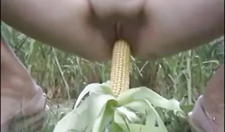 Giê web sex hay nhât chúng nó cả, trên cả phụ nữ