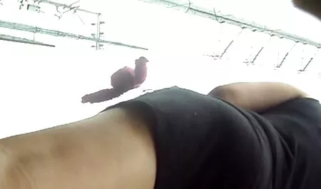 Đó là cách jav nhật không che làm của chúng tôi muốn thu với vợ của tôi trên bánh.